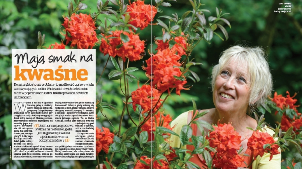 Carol. Mają smak na kwaśne - Gardeners World Polska 3-2018