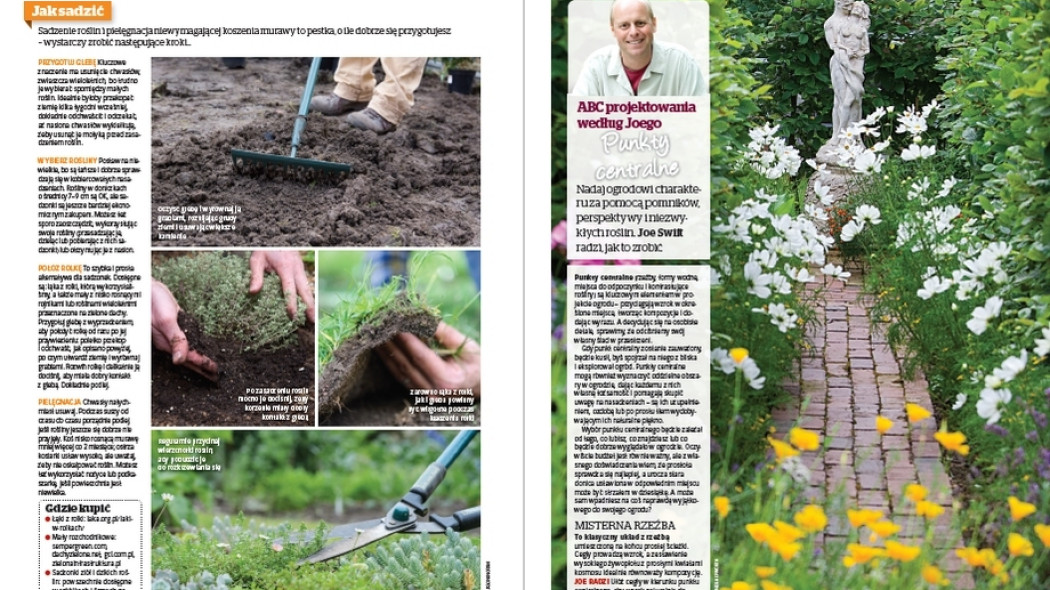 Projekty Joego. Punkty centralne - Gardeners World Polska 3-2018