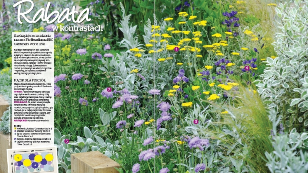 Rabata w kontrastach - Gardeners World Polska 3-2018