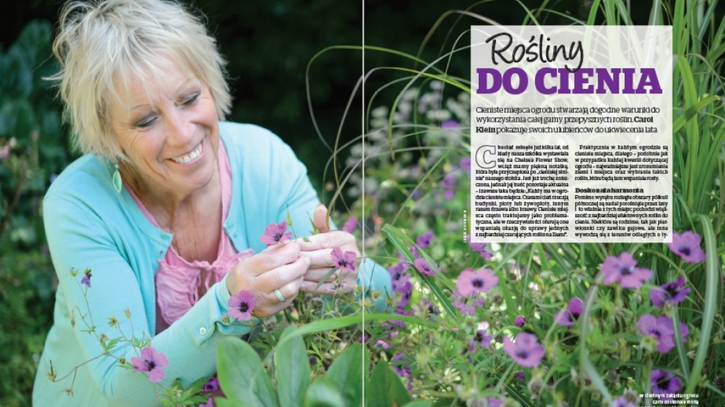 Carol. Rośliny do cienia - Gardeners World Polska 3-2018