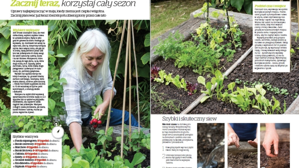 Ekspresowe warzywa - Gardeners World Polska 3-2018