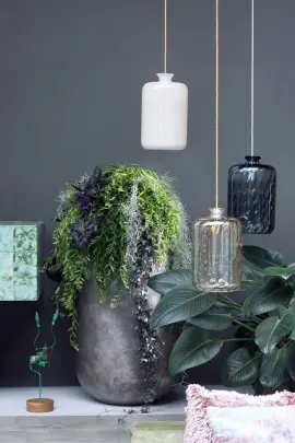 domowe rośliny zwisające fot. Flower Council Holland