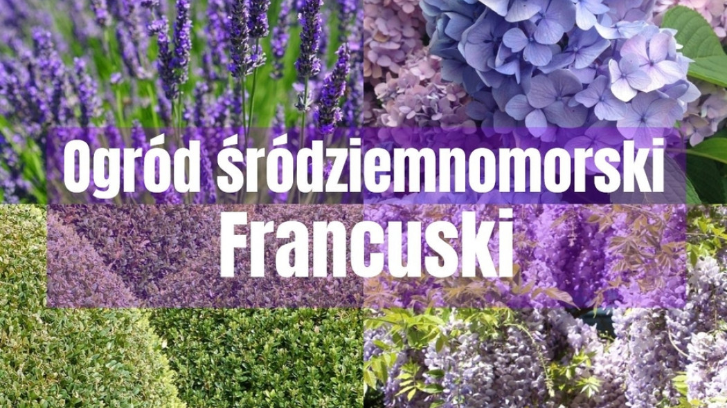 Ogród francuski