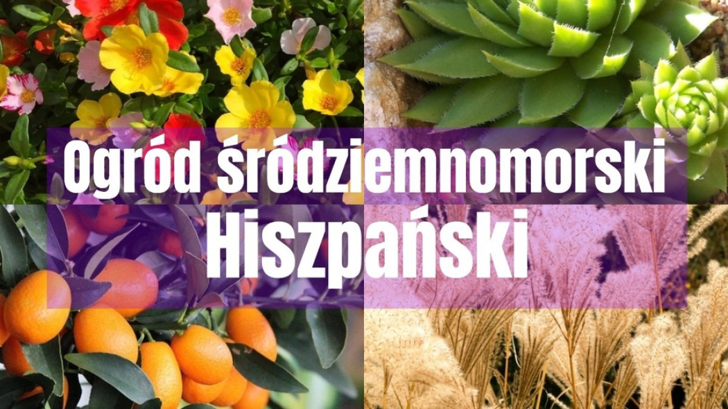 Ogród hiszpański