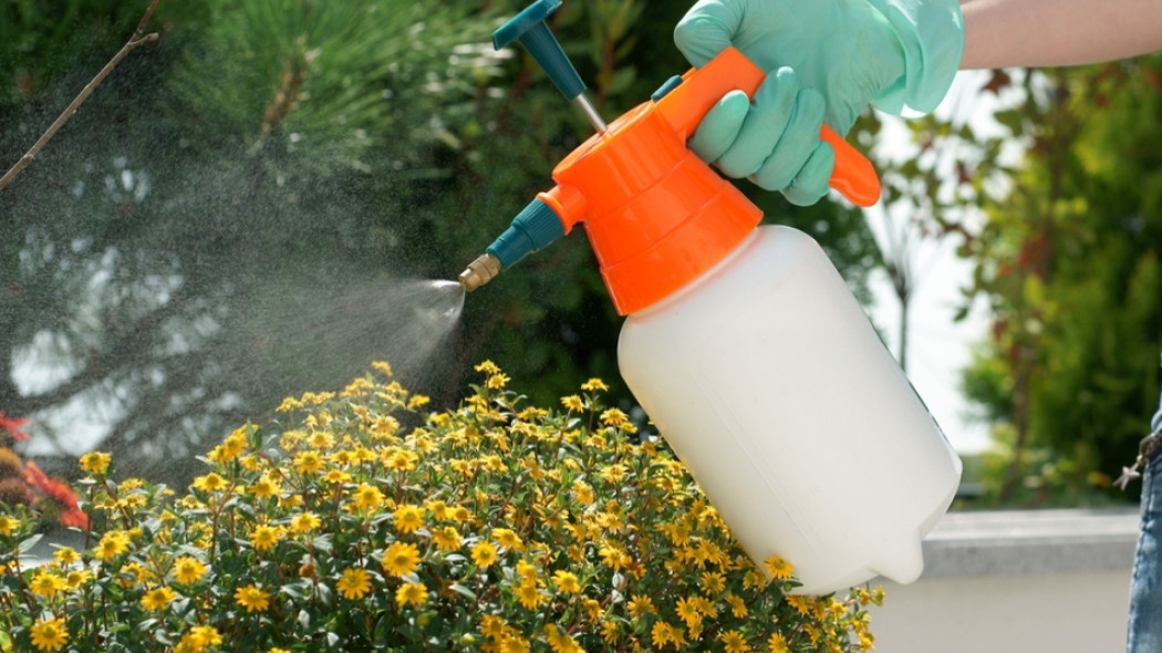 Preparat do ochrony kwiatów balkonowych fot. 7monarda - Fotolia.com