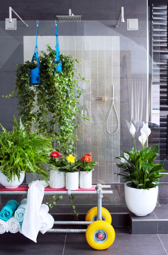zielone filtry fot. Flower Council Holand