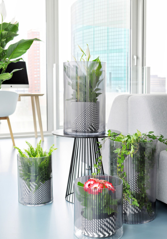 zielone filtry fot. Flower Council Holand