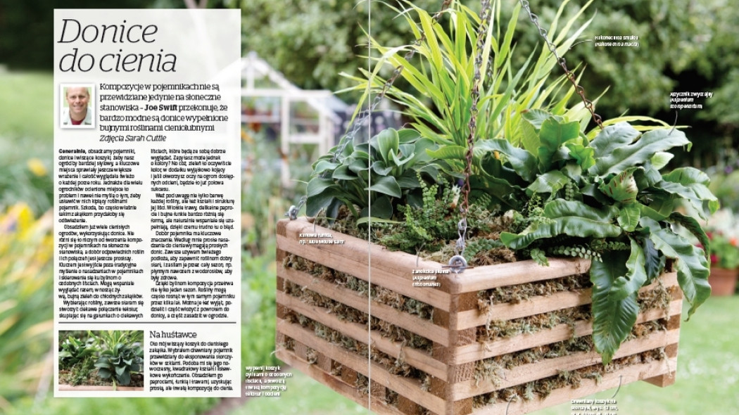 Donice do cienia - Gardeners World Polska 3-2018