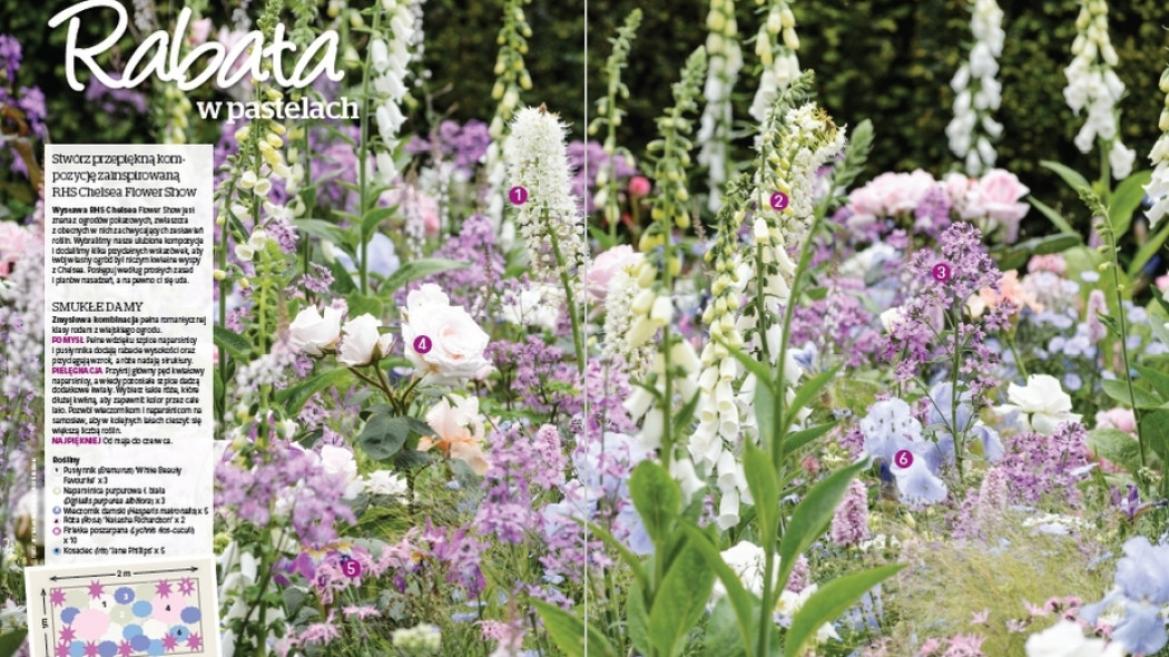Rabata w pastelach - Gardeners World Polska 3-2018