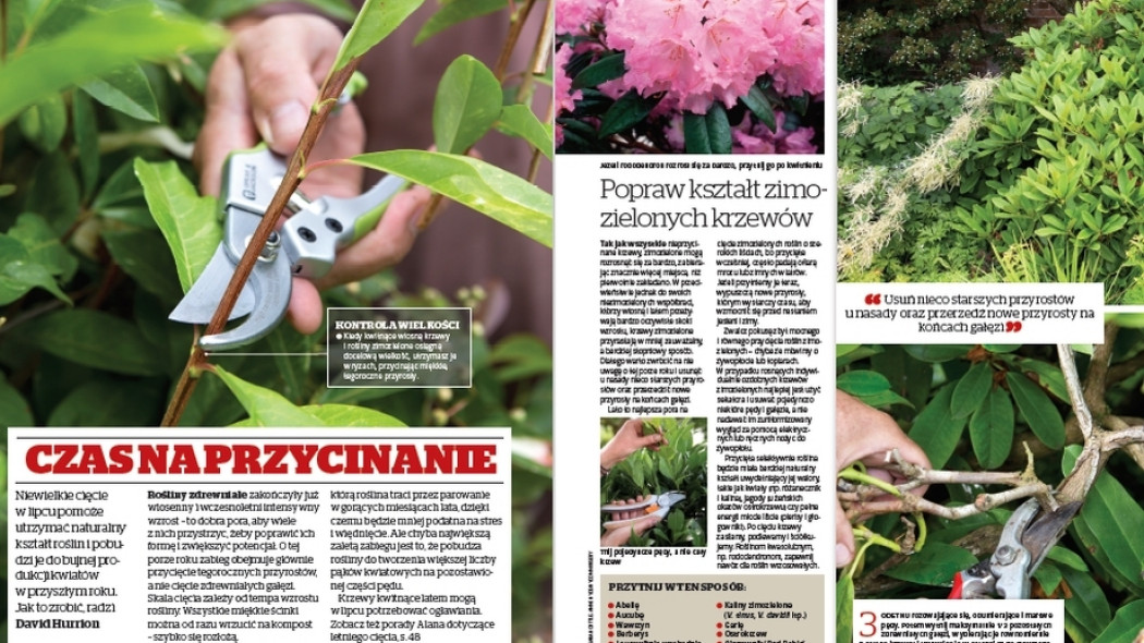 Cięcie w lipcu - Gardeners World Polska 4-2018