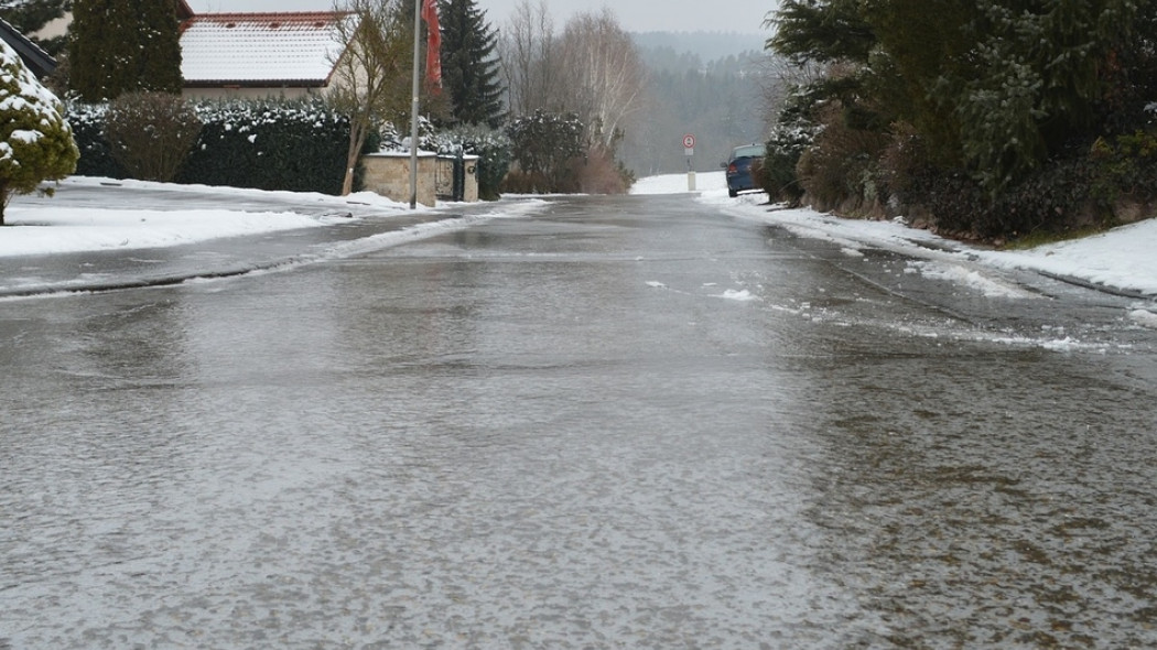 Jak zabezpieczyć rośliny przed solą drogową