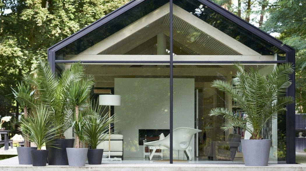 Palmy do uprawy na zewnątrz fot. Flower Council Holland