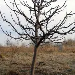 Tydzień 2, Sentencja nr:3