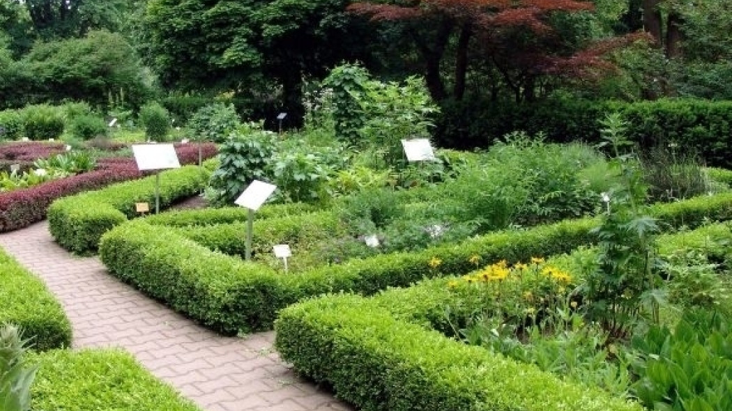 Ogród Botaniczny Uniwersytetu Warszawskiego