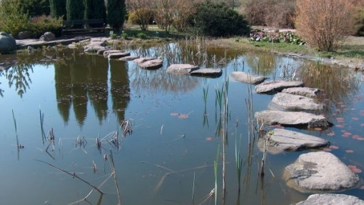 Ogród botaniczny w Powsinie
