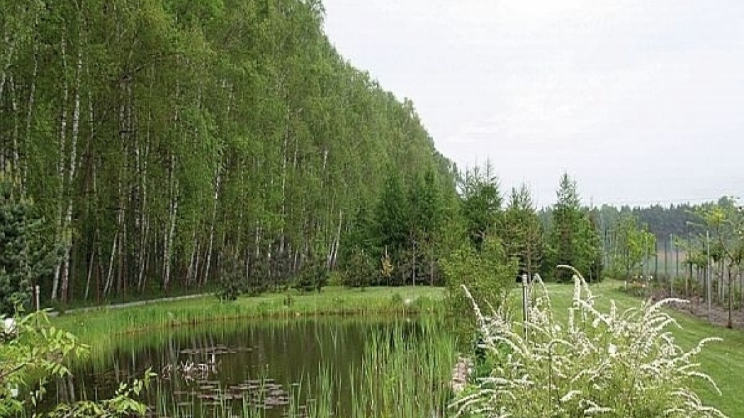 ogród na długiej i wąskiej działce