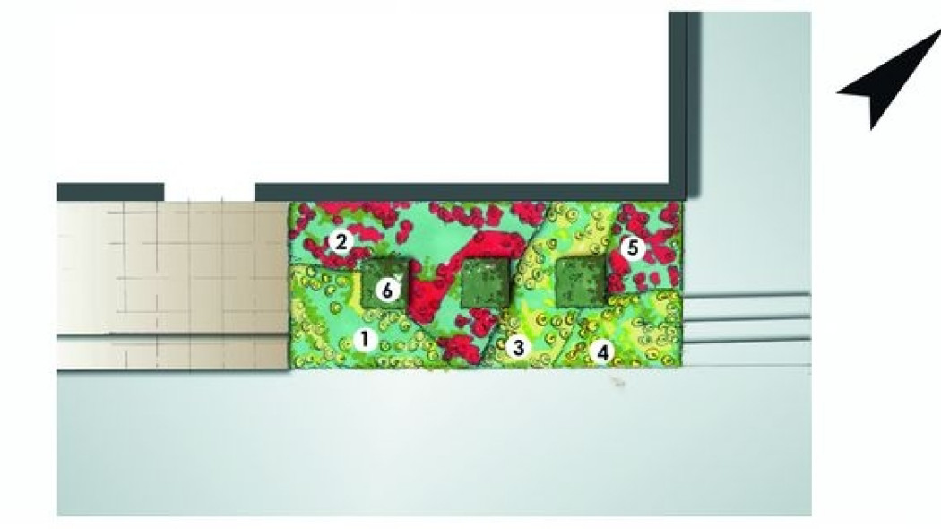 Tulipanowy zakątek - projekt wiosennego zakątka przy domu