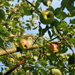 Tydzień 26, Sentencja nr:4
