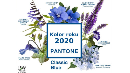 Niebieska rabata inspirowana kolorem roku 2020 Pantone Classic Blue