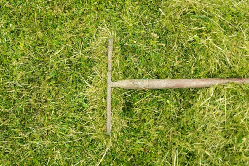 Jak pozbyc sie mchu z trawnika, fot. M.Dörr - M.Frommherz - Fotolia