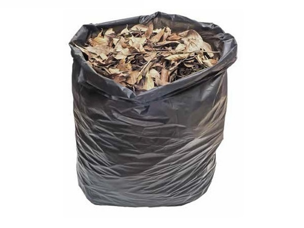 Liście w worku, fot. pkanchana - Fotolia