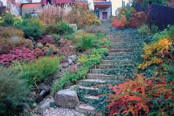Kamienne schody w ogrodzie, fot. Ogrody Dankiewicz