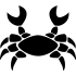 Rak