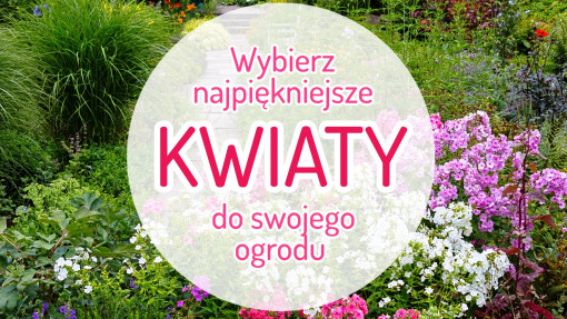 TOP 50 najpiękniejszych kwiatów do Twojego ogrodu