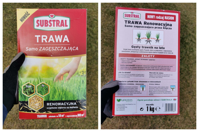 trawa samo zagęszczająca Renowacyjna