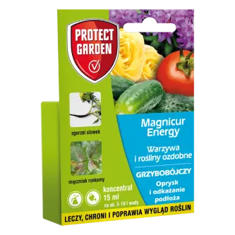 MAGNICUR ENERGY