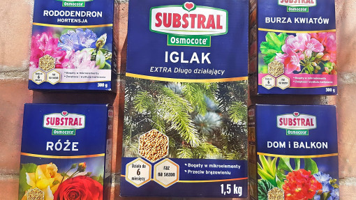 Najlepsze nawozy do ogrodu? Wybierz Osmocote