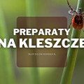 Środki na kleszcze | Jakie wybrać i gdzie kupić?