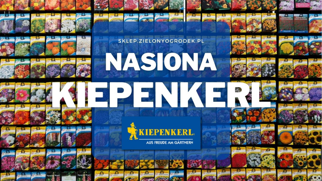 Nasiona Kiepenkerl