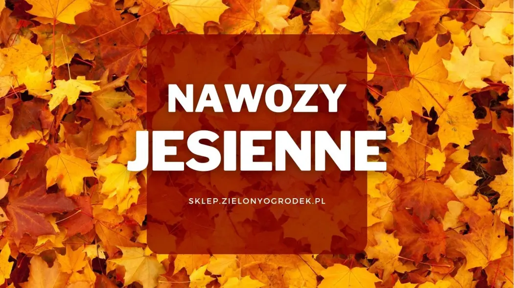 Nawozy ogrodowe jesienne