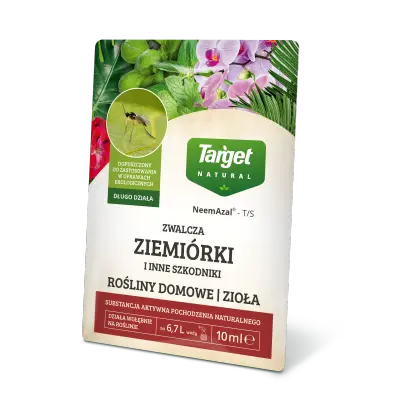 środek chemiczny na ziemiórki