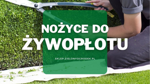 Nożyce do żywopłotu | Jakie wybrać i gdzie kupić?