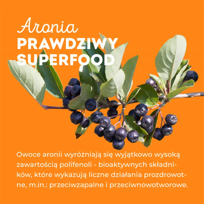 właściwości zdrowotne aronii