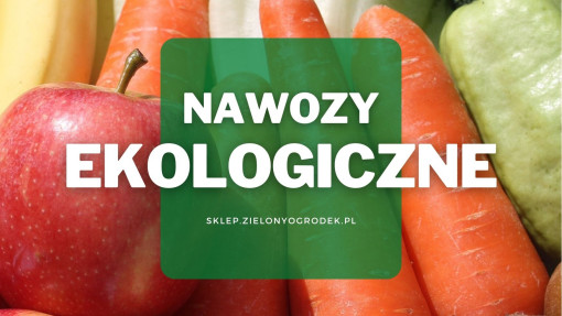Ekologiczne nawozy do owoców i warzyw | Jakie wybrać i gdzie kupić?