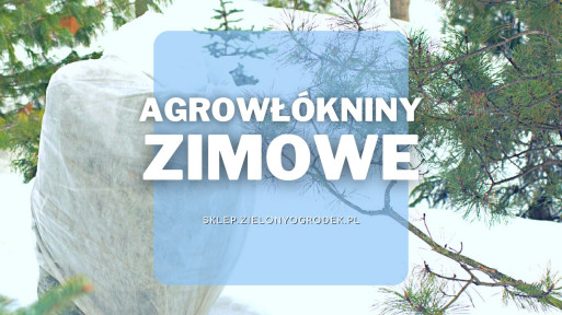 Agrowłókniny zimowe do ochrony przed mrozem | Jakie wybrać i gdzie kupić?