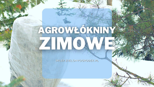 Agrowłókniny zimowe do ochrony przed mrozem | Jakie wybrać i gdzie kupić?