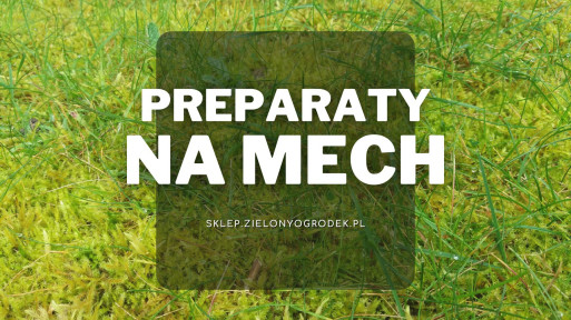 Preparaty do zwalczania mchu z trawnika | Jakie wybrać i gdzie kupić?