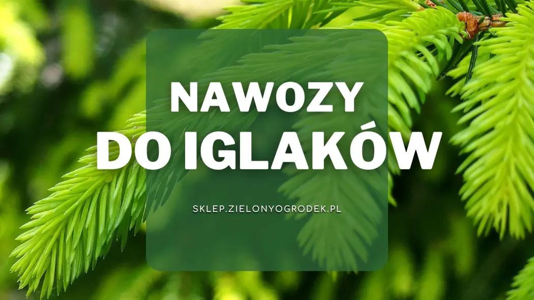 Nawozy do iglaków Sklep ZielonyOgródek pl
