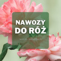 Nawozy do róż | Jakie wybrać i gdzie kupić?
