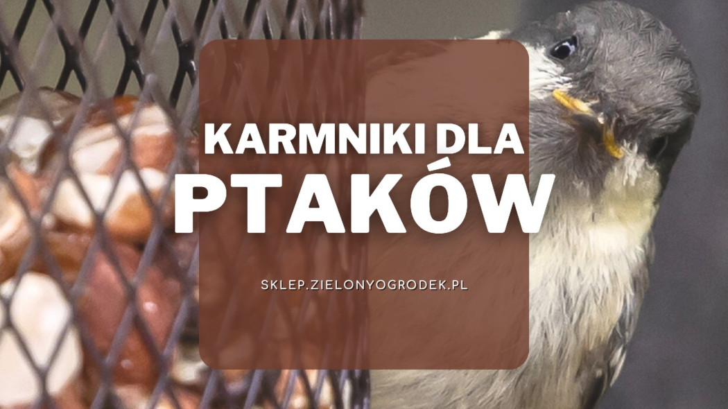 Karmniki dla ptaków, Sklep ZielonyOgródek pl