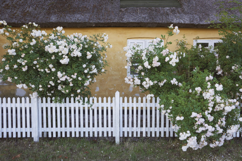 Zielony ogrodek