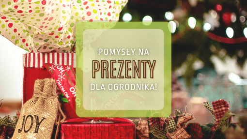 Pomysły na gwiazdkowe prezenty dla ogrodników | Prezentownik 2021