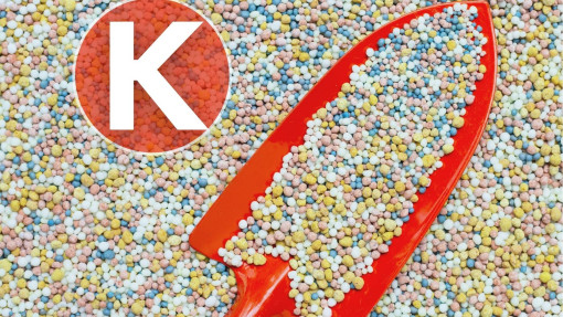 Nawozy potasowe | Jakie wybrać i gdzie kupić?