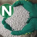 Nawożenie roślin azotem | Jak i kiedy to robić?