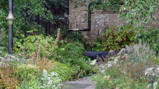 The M&G Garden | Chelsea Flower Show 2021