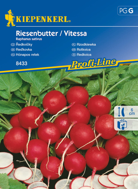 Rzodkiewka 'Vitessa'